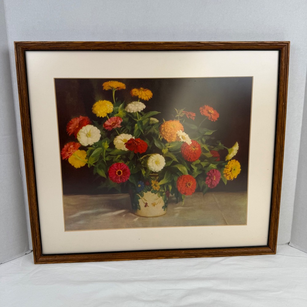 Vintage Zinnia Botanical Floral Still Life Framed Art Print‎ Wood Frame 21x17